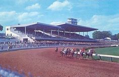 the horses are racing down the track in front of the crowd at the horse race