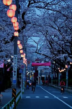 people are riding bicycles down the street with lanterns hanging from trees in front of them