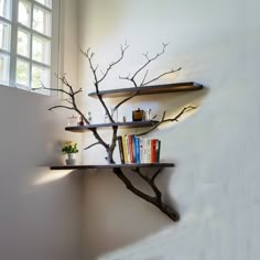 a tree branch with books on it in front of a wall mounted book shelf and window