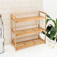 a bamboo shelf sitting next to a potted plant