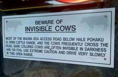 a sign on the side of a stone wall warning people to beware of invisible cows