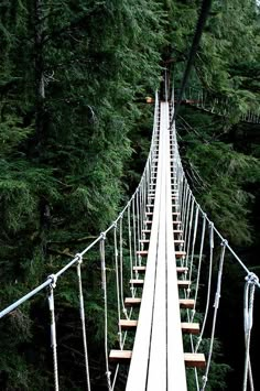 a very long suspension bridge in the middle of some trees