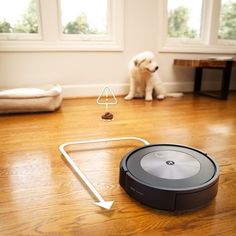 a dog is sitting on the floor next to a robot vacuum that has been placed in front of it