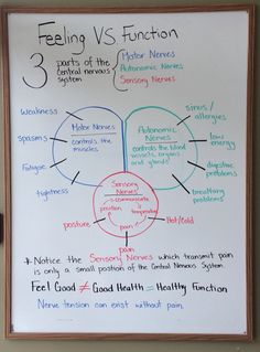 Feeling vs Function  Chiropractic whiteboard in office to help educate patients on their health. Chiropractic Inspiration, Massage Hands