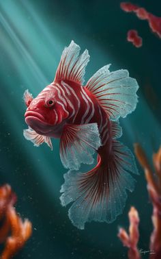 a red and white fish swimming in the ocean with corals on the water's surface