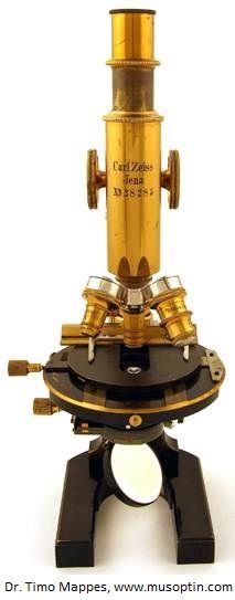 an antique brass plated microscope on stand with black base and white backgroud