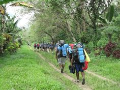 a group of people with backpacks walking down a dirt road in the jungle on a sunny day