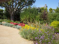 a garden with flowers and trees in the background, along side a dirt path that leads to a house