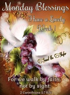 two white doves flying over grapes with the words monday blessing have a lovely week for we walk by faith, not by sight