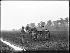 two men are plowing the field with horses