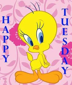 7 Tweety ideas | tweety, tweety bird quotes, bird quotes