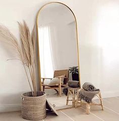 a large mirror sitting on top of a wooden floor next to a potted plant