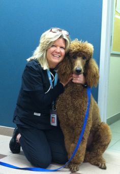 Check out this precious pooch! Sy the standard poodle recently visited Dr. Merchant from our dermatology department for itchy skin. After his appointment, Sy thought it would be fun to have a little play session with Dr. Merchant and the technicians! Standard Poodle, Itchy Skin, Canada Goose Jackets, Puffer, Winter Jackets, Doodles, Skin, Saying Goodbye