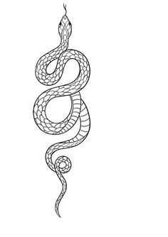 a drawing of a snake on a white background