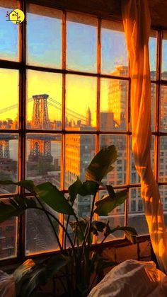 the sun is setting in front of a window with cityscape and bridge seen through it