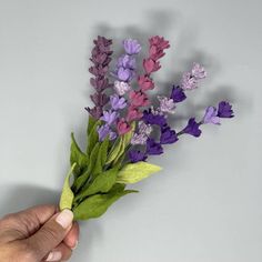 a hand is holding some flowers on a gray background with purple and green leaves in the foreground