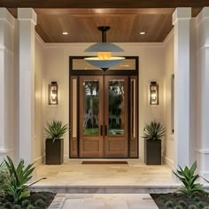 an entry way with two planters on either side and one light above the door