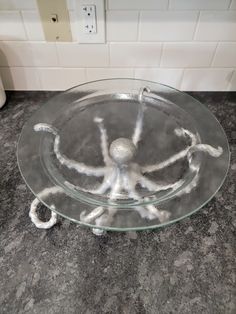 a glass plate that has some kind of thing on it in the middle of a counter