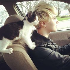 a person in a car with a cat sitting on the passenger's back seat