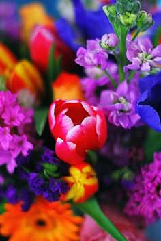 colorful flowers are grouped together in this close - up photo with the caption moments