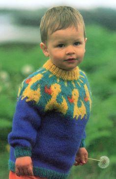 a young boy holding a dandelion while wearing a blue and yellow knitted sweater