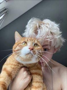 Red Lights, A Cat, Blonde, Fan, Red, Hair, White