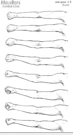 an image of different types of legs in black and white poster by person, anatomy drawing,