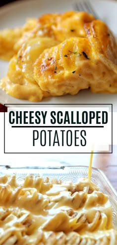 cheesy scalloped potatoes on a white plate with text overlay that reads, cheesy scalloped potatoes