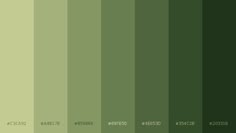 an image of green color swatches in the middle of two rows, each with different colors