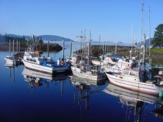 several boats are docked in the water near each other on a clear blue sky day