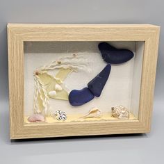 a shadow box with shells and seashells in it