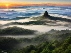 Discover Thailand's Beauty: Doi Inthanon Sunrise Thailand Nature, Nature