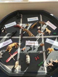 a tray with different types of toy animals on it and labels in front of them