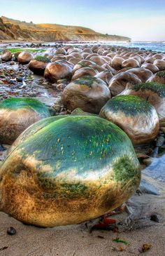 the rocks are covered in green and brown algae on the beach near the water's edge