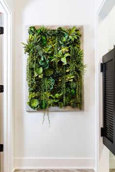 a wall mounted planter in the corner of a room