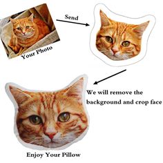 an orange cat's face is shown with the caption, you will remove the background and cropface