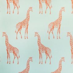 an orange and white giraffe pattern on a light blue wallpapered background