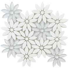 several white flowers are arranged in the shape of a circle on a white background,