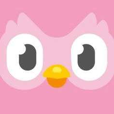 the face of a pink bird with big eyes