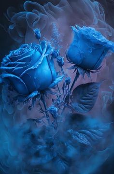 Rosé Aesthetic, Rainbow Roses, Beautiful Flowers Pictures, Blue Roses, Pretty Wallpapers Backgrounds, Blue Rose, Flower Pictures, Travel Pictures, Pretty Wallpapers