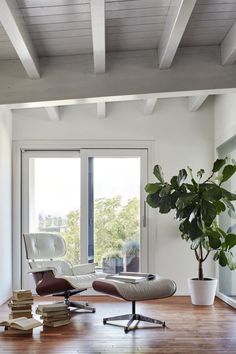 a living room with a chair and a potted plant