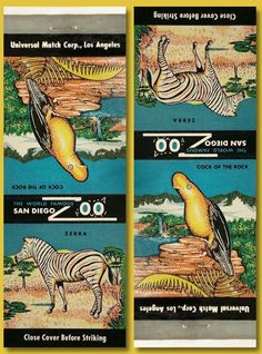 three different types of advertising for some kind of clothing store, with zebras and other animals in the background