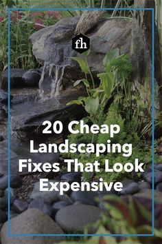 a garden with rocks, plants and water in the background text reads 20 cheap landscaping fixes that look expensive