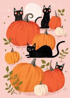 three black cats sitting on top of pumpkins