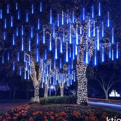 the trees are lit up with blue lights