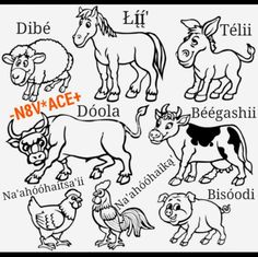 an image of farm animals and their names