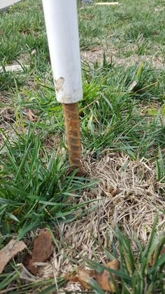 a white pole sticking out of the ground