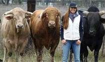 a woman standing in front of several cows