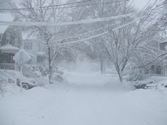 a snow covered street with houses and trees