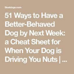 the text reads, 51 ways to have a better - behavior dog by next week a great sheet for when your dog is driving you nuts